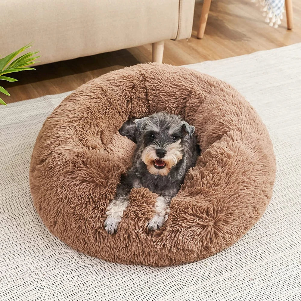 PawCalm Calming Dog Bed