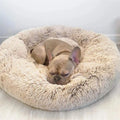 PawCalm Calming Dog Bed