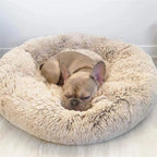 PawCalm Calming Dog Bed