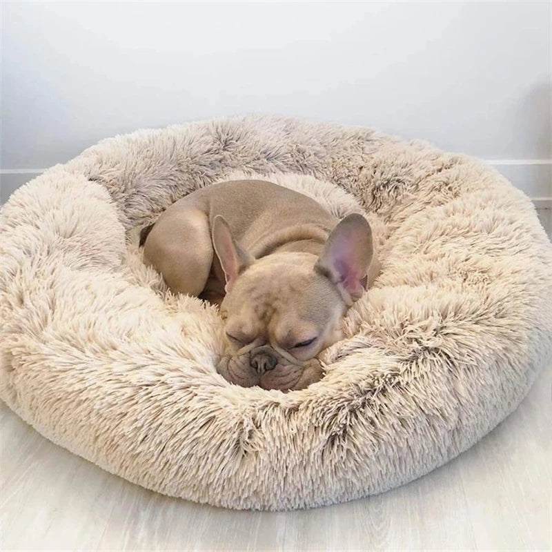 PawCalm Calming Dog Bed